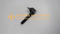 48570-61G25,TIE ROD END IN R/L