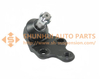 43330-29145,BALL JOINT LOW R/L